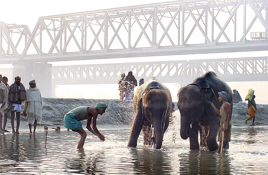 印度民眾在恆河(Ganges River)與甘達克河(Gandak River)戲水。(STR/AFP via Getty Images)